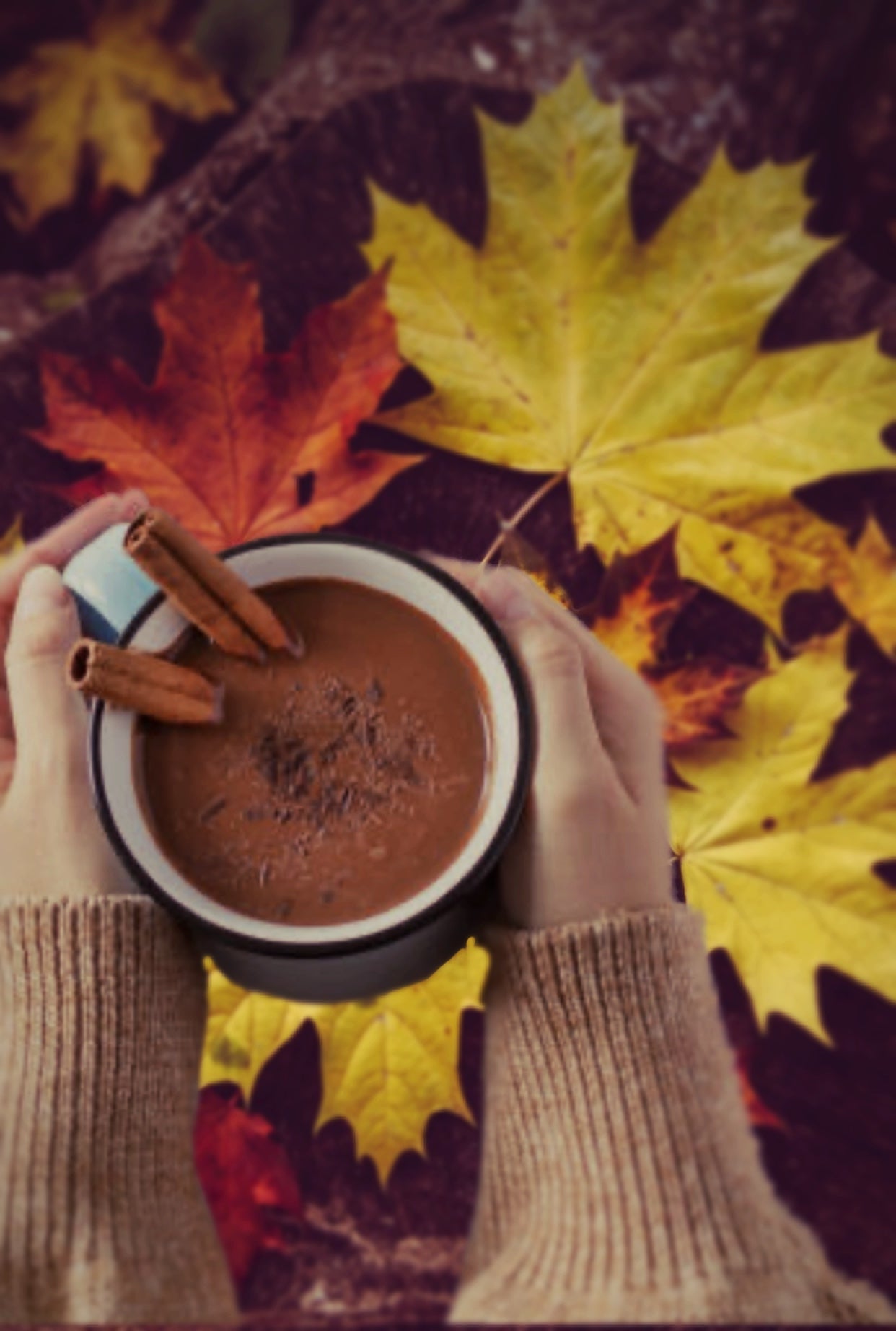 Cauldron Cacao- longevity powder