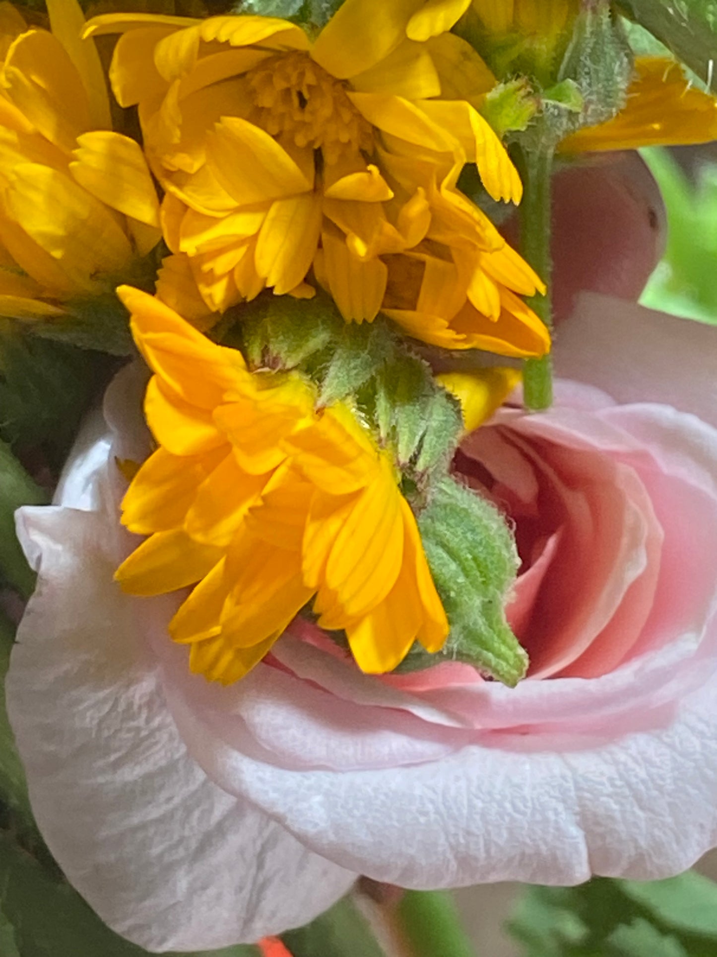 Wild Garden Skin Butter