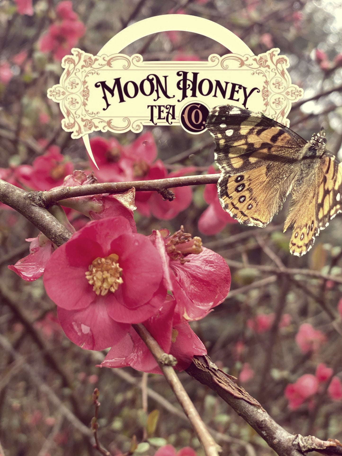 Fairy Dust Fever Reducer Herbal Tea